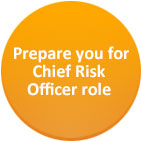 Chief Risk Officer